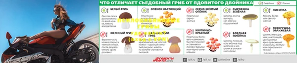 винт Белокуриха