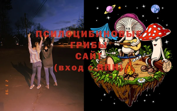 ПСИЛОЦИБИНОВЫЕ ГРИБЫ Беломорск