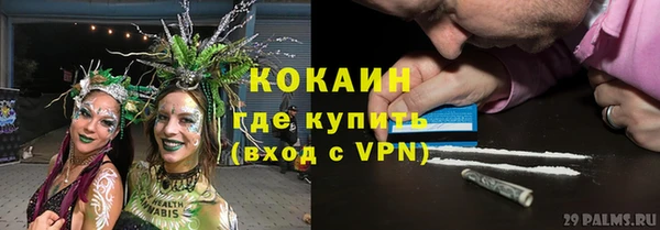 ПСИЛОЦИБИНОВЫЕ ГРИБЫ Беломорск