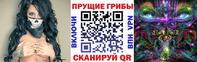 Псилоцибиновые грибы мицелий  где продают наркотики  Велиж 