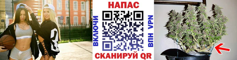 Каннабис SATIVA & INDICA  купить наркоту  Велиж 